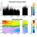 Time series of chlorophyll inventories and particle backscatter